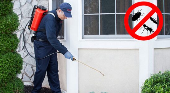 Yavuzeli Tahtakurusu İlaçlama böcek ilaçlama ve haşere kontrolü — ilaclama-tr.com
